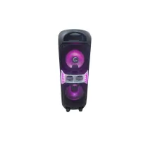 Hyundai BBQ GS1021 800W Portable Bluetooth Speaker with