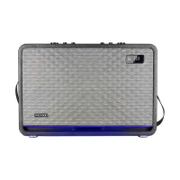 Microlab KTV200PRO Portable 1.0 Bluetooth Karaoke Speaker ? Black & Grey with 2 Handheld Mics